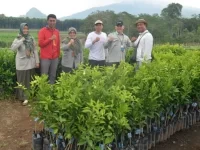 5 Keuntungan Menjadi Petani Millenial Di Tahuan 2022