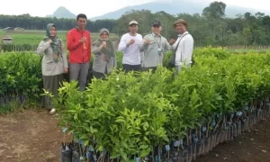 5 Keuntungan Menjadi Petani Millenial Di Tahuan 2022