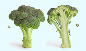 Manfaat Brokoli Bagi Kesehatan Manfaat Brokoli Bagi Kesehatan