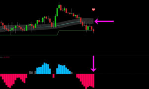 apa itu option trading