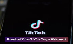 download video tiktok tanpa watermark