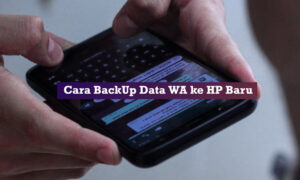 cara backup data wa ke hp baru