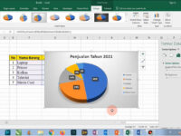 cara buat grafik lingkaran di excel 2